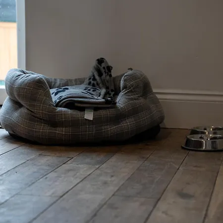 別荘 The Salty Seagull *