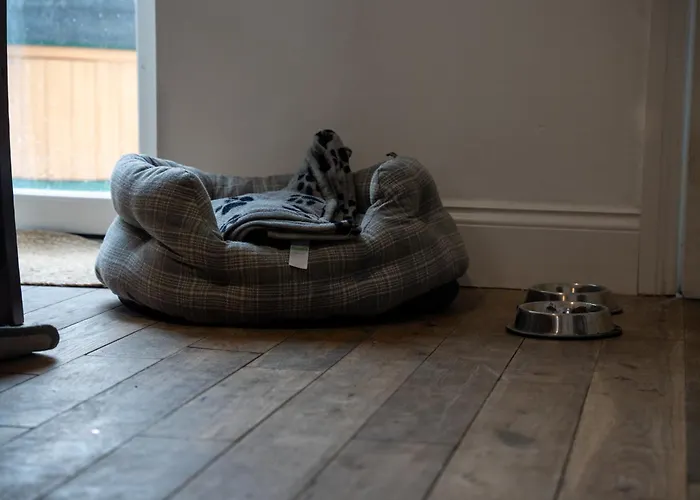 別荘 The Salty Seagull *